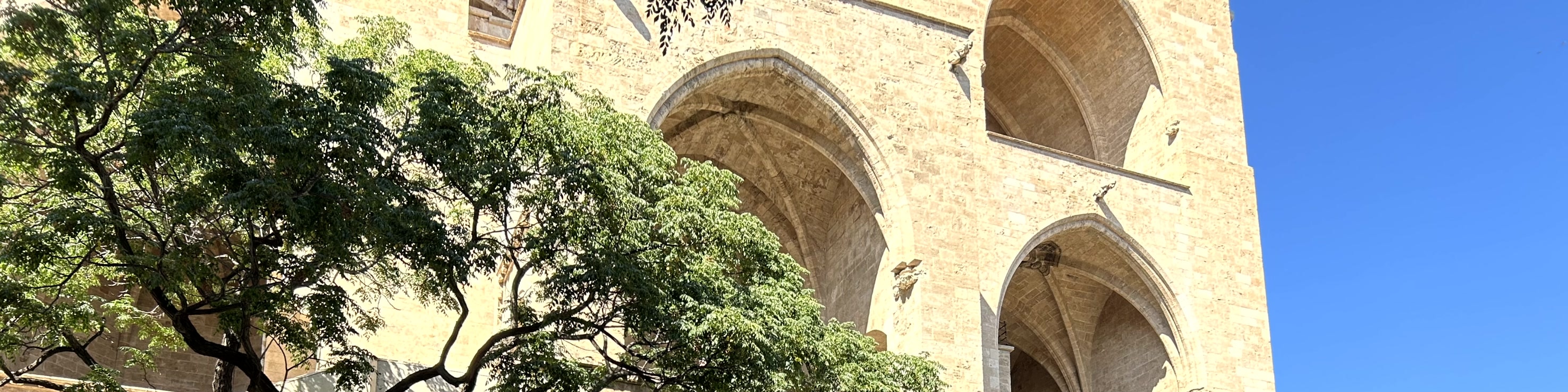 瓦倫西亞：城市觀光騎行導覽遊（Valencia: Guided City Sightseeing Tour by Bike or E-Bike）