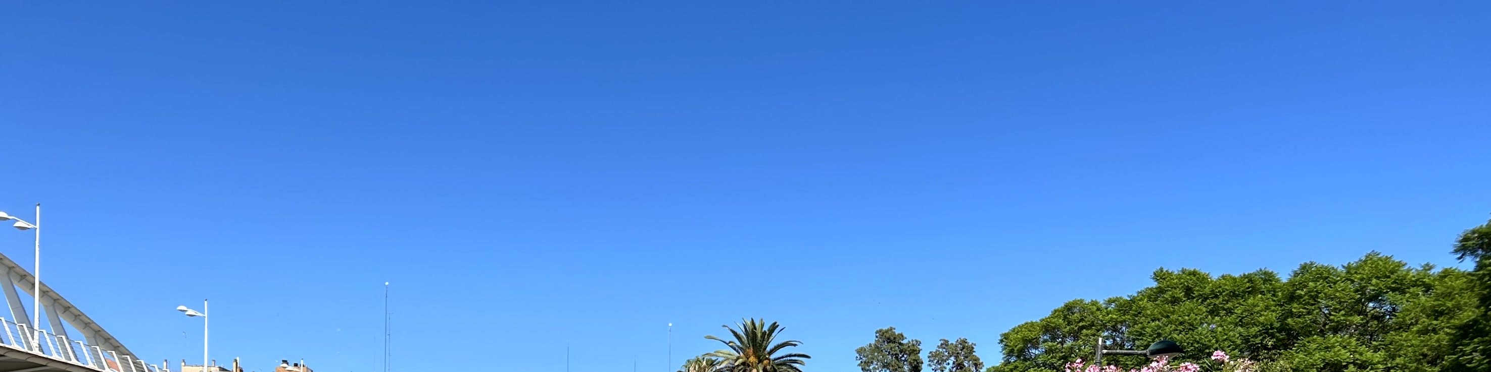 瓦倫西亞：城市觀光騎行導覽遊（Valencia: Guided City Sightseeing Tour by Bike or E-Bike）