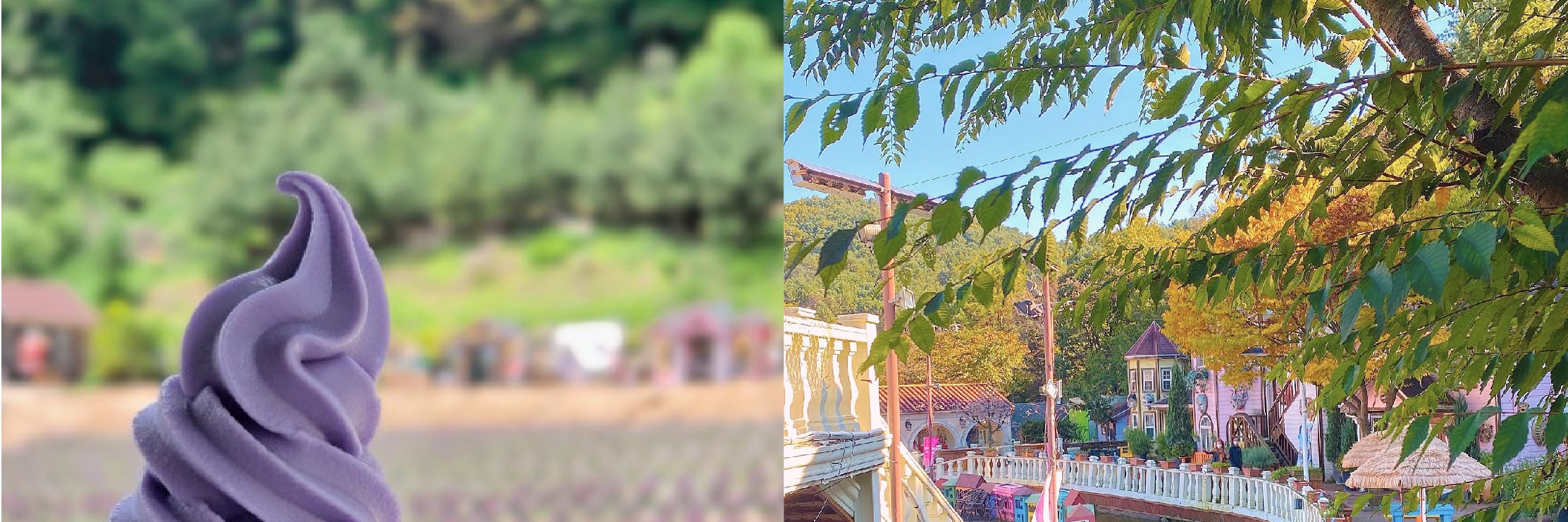 浦川 & 季節性熱門景點一日遊