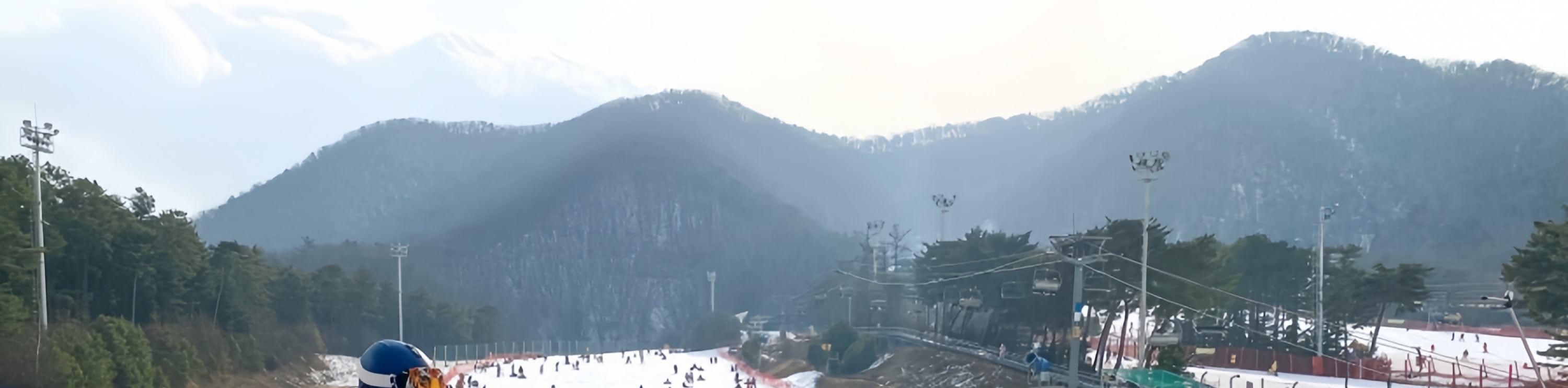 芝山森林度假村 (Jisan Forest Resort) 滑雪橇一日遊（首爾 (Seoul) 出發）