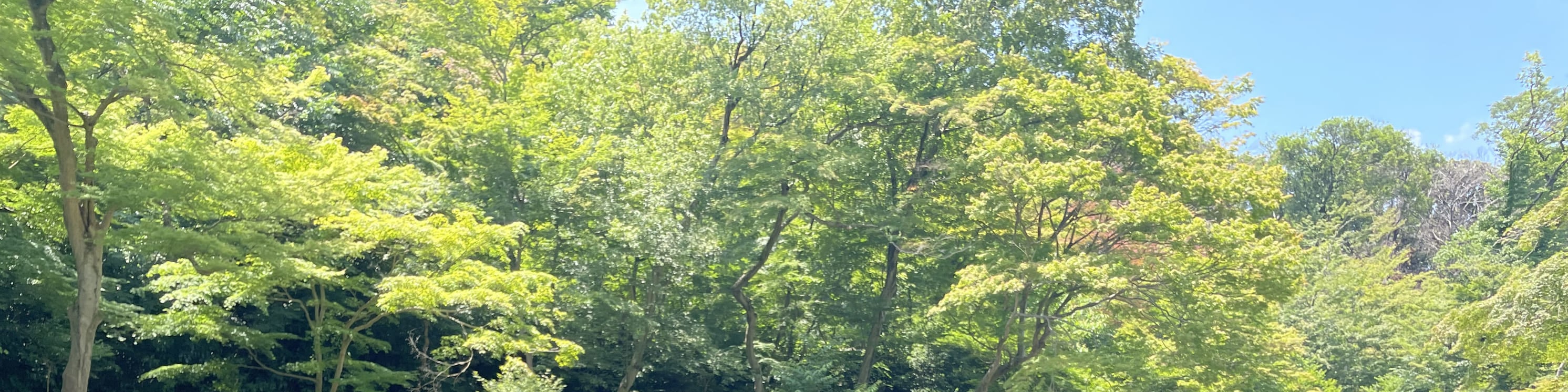 東京精華私人一日遊