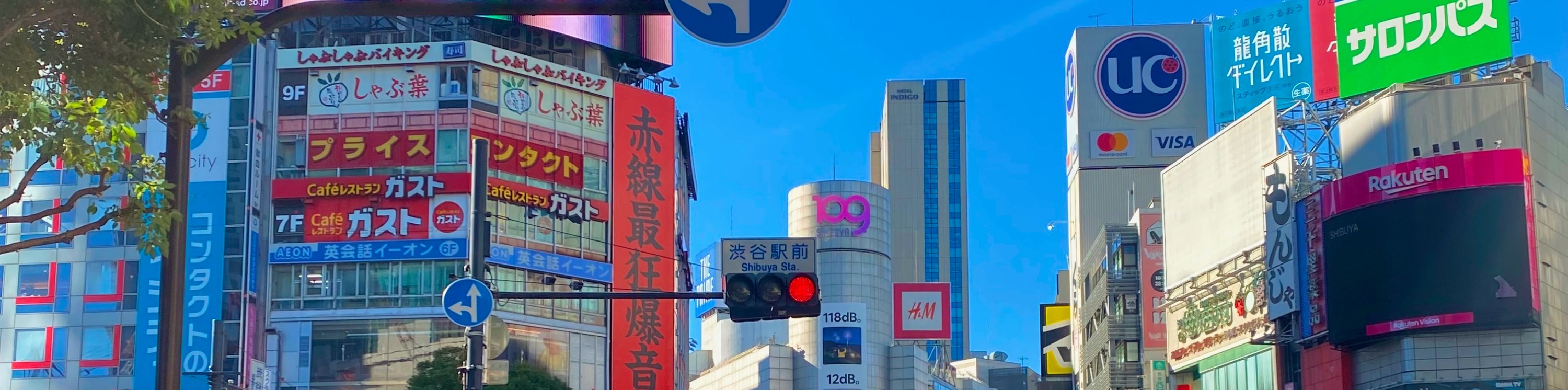 東京歷史遺跡 3 小時單車遊