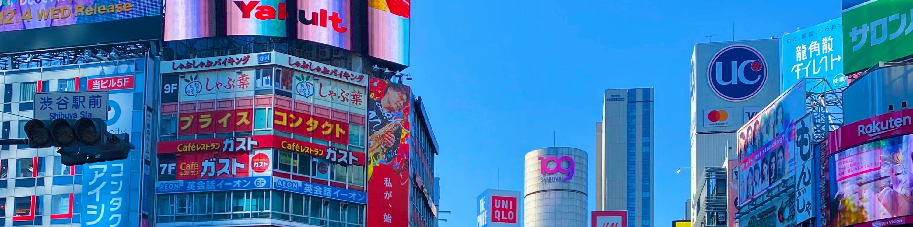 東京市中心區域 3 小時自行車／電動自行車之旅