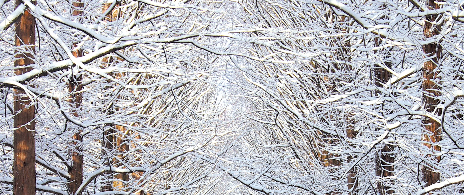 探索南怡島及更多精彩!完美一日遊,飽覽壯麗景色、探索獨特景點,並享有輕鬆便捷的交通接駁。 探索南怡島及更多精彩!完美一日遊,飽覽壯麗景色、探索獨特景點,並享有輕鬆便捷的交通接駁。