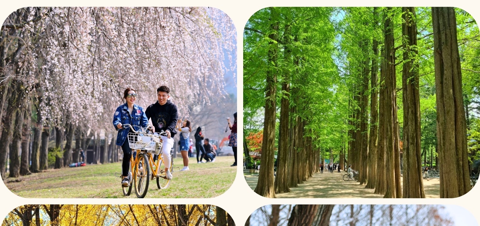 羊駝牧場 / 南怡島 / 江村鐵路自行車 / 小法國村 / 晨靜樹木園  / 樂高樂園一日遊