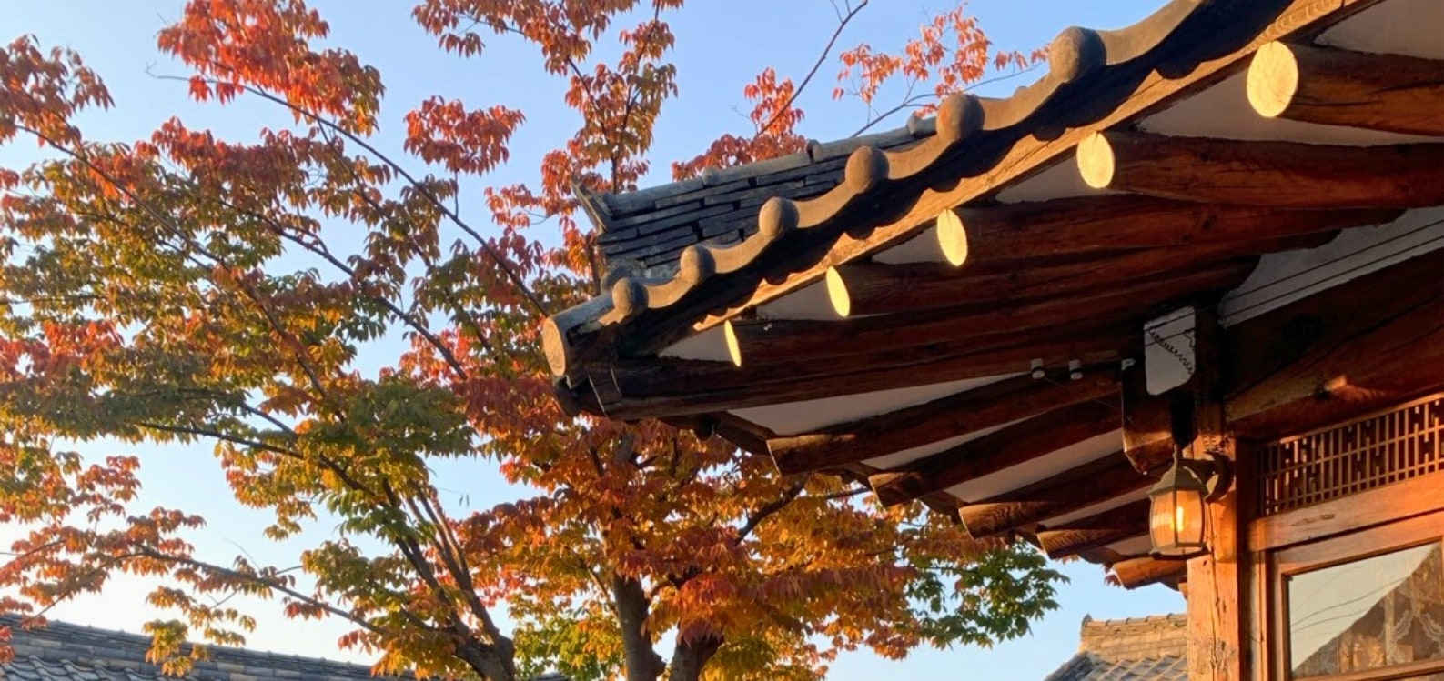 慶州黃理團路×佛國寺秋楓之旅（釜山）