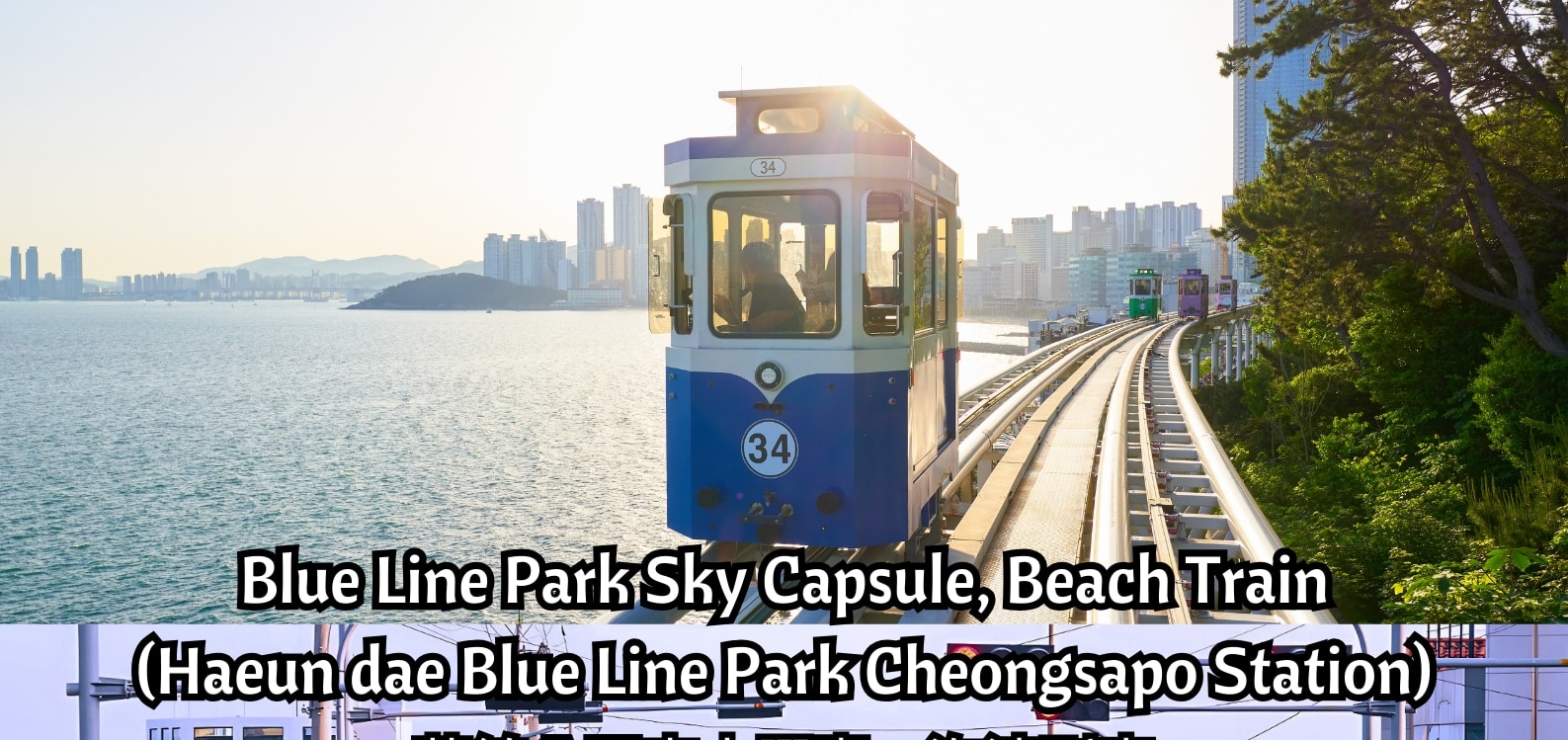 Busan & 海雲台藍線公園導覽一日遊