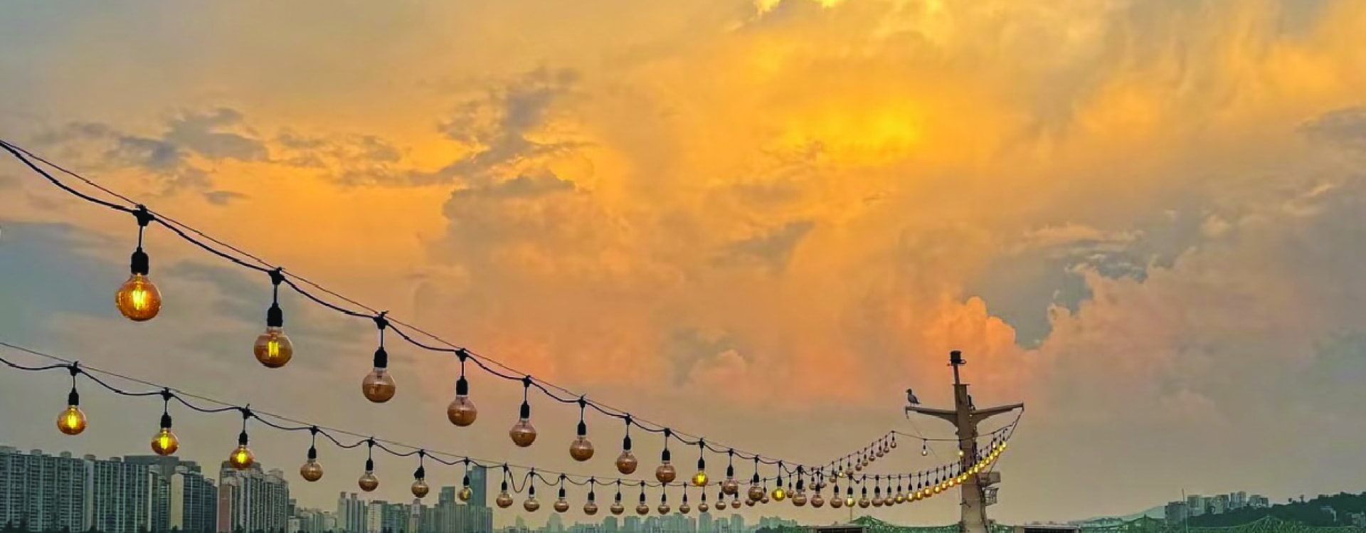 搭乘漢江郵輪，從水上欣賞首爾的城市天際線亮起。