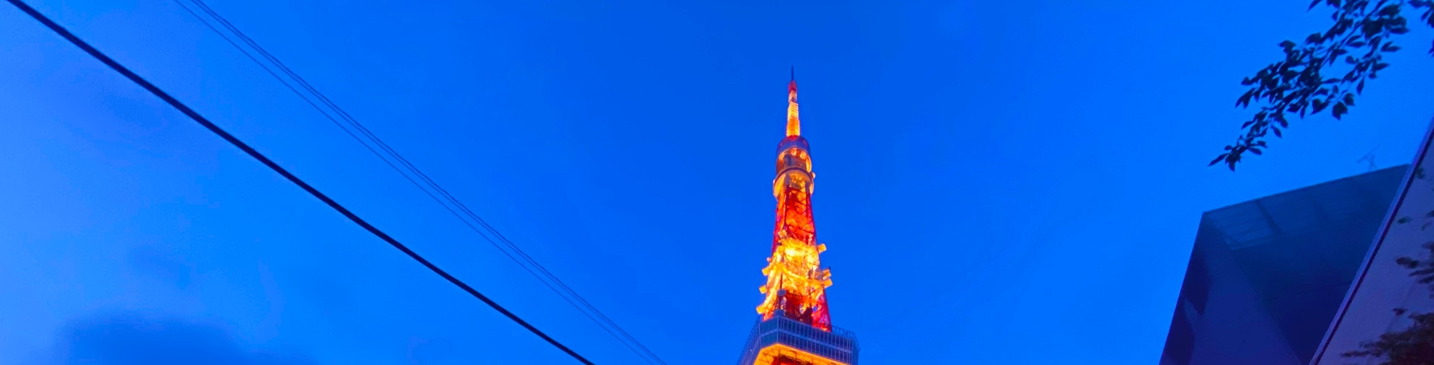 東京隱藏景點 2 小時霓虹燈自行車之旅