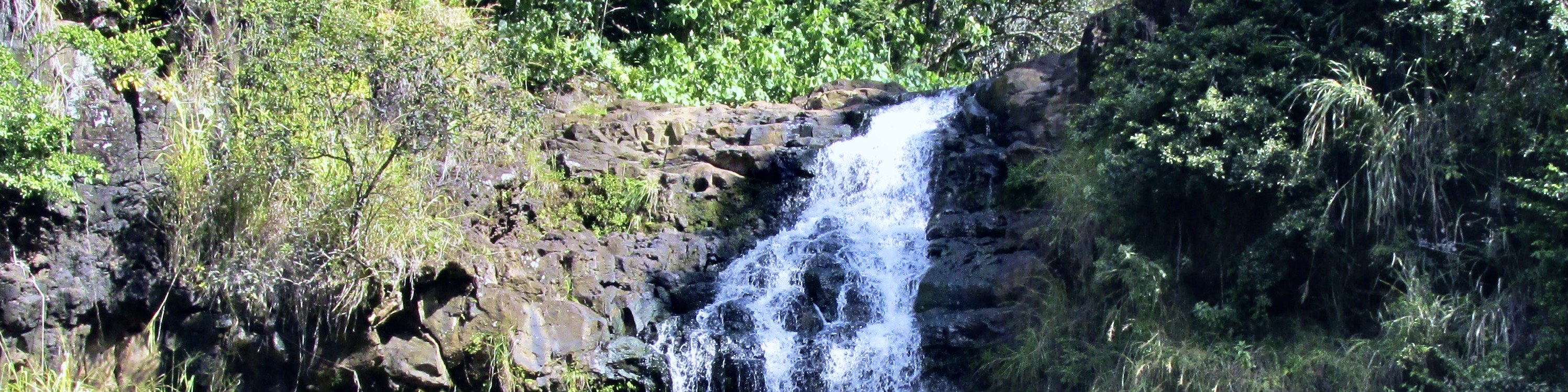 Island Tour + Snorkel + Waterfall - from KoOlina - Thumbnail 8