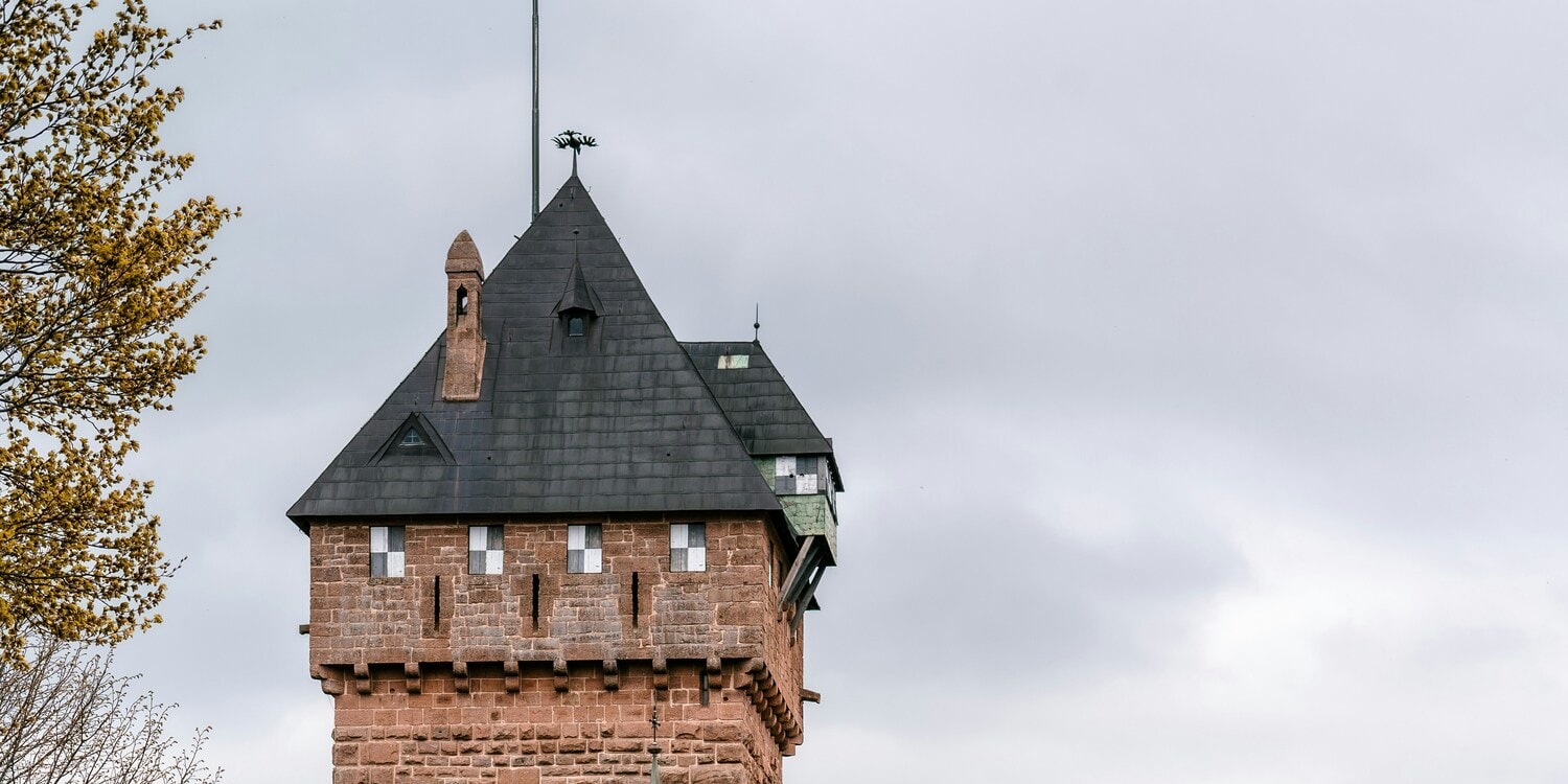 Strasbourg, Colmar, Eguisheim, Riquewihr: Private Tour