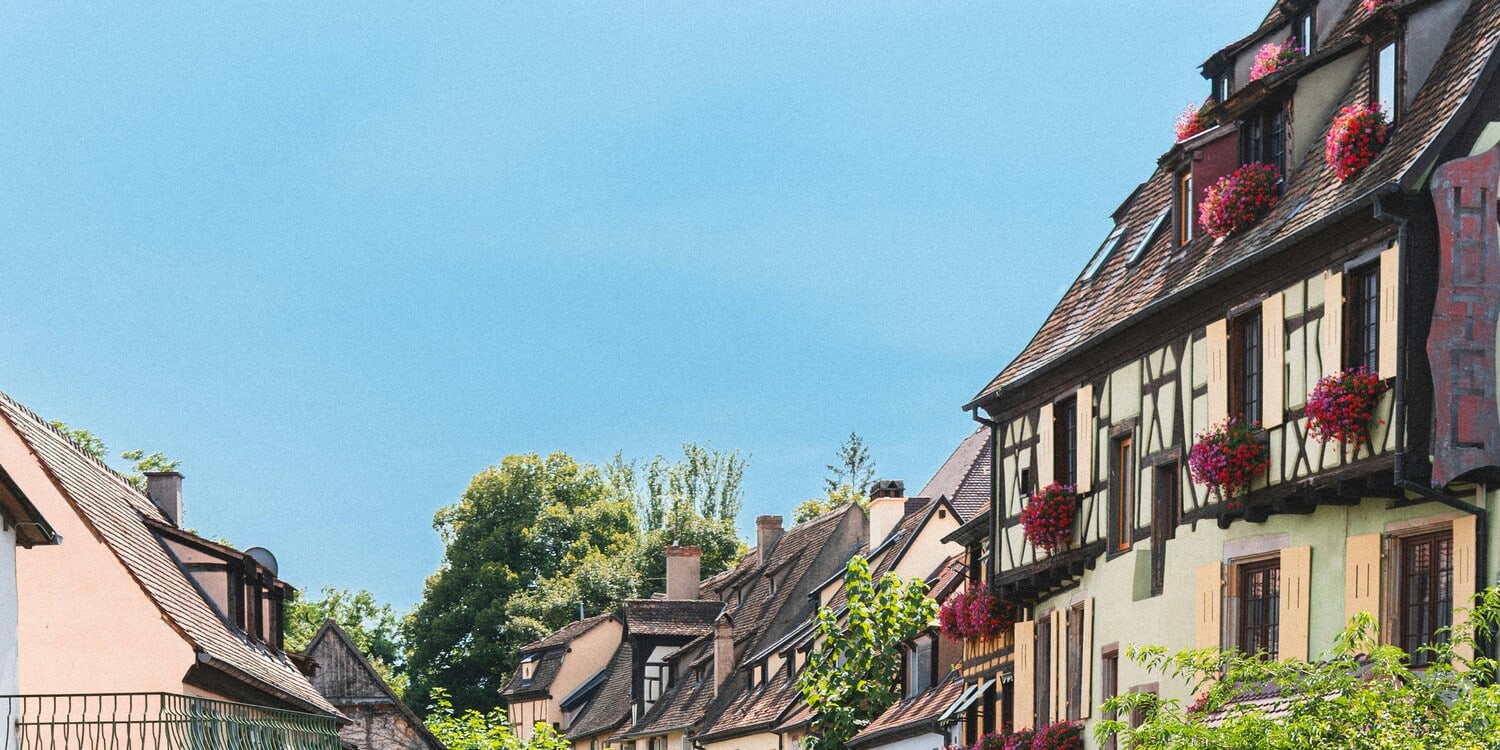 Strasbourg, Colmar, Eguisheim, Riquewihr: Private Tour
