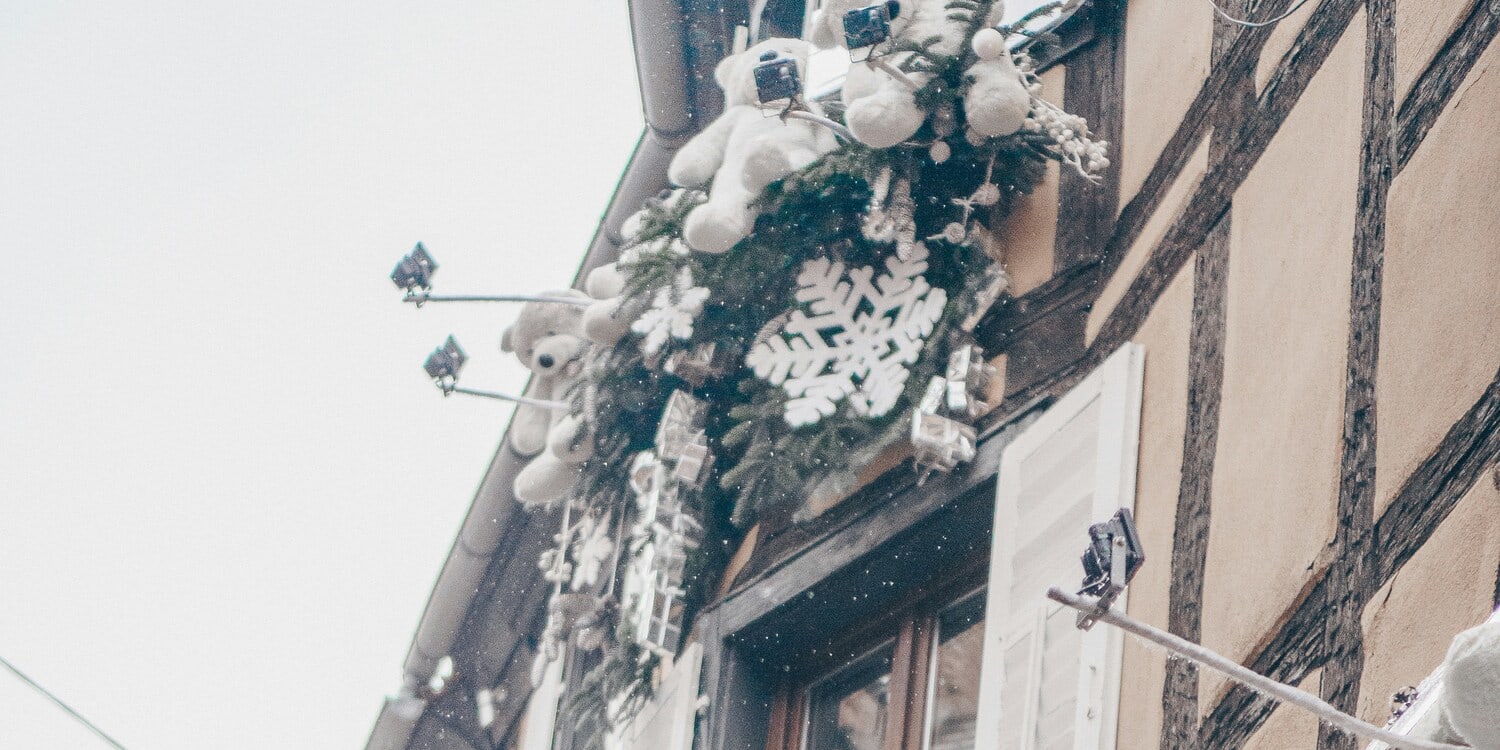 Strasbourg, Colmar, Eguisheim, Riquewihr: Private Tour