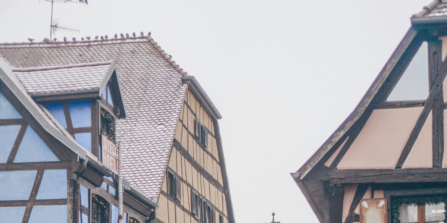 Strasbourg, Colmar, Eguisheim, Riquewihr: Private Tour