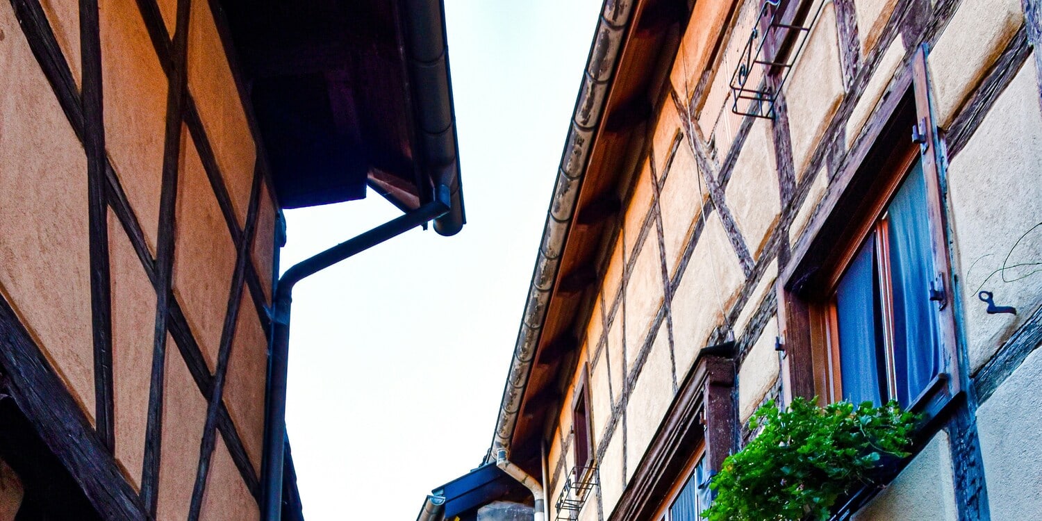 Strasbourg, Colmar, Eguisheim, Riquewihr: Private Tour