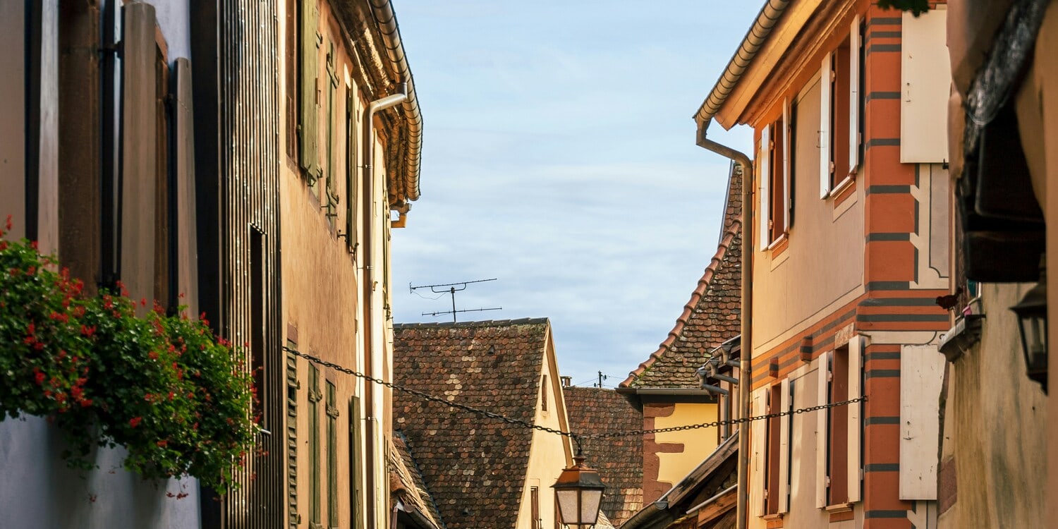Strasbourg, Colmar, Eguisheim, Riquewihr: Private Tour
