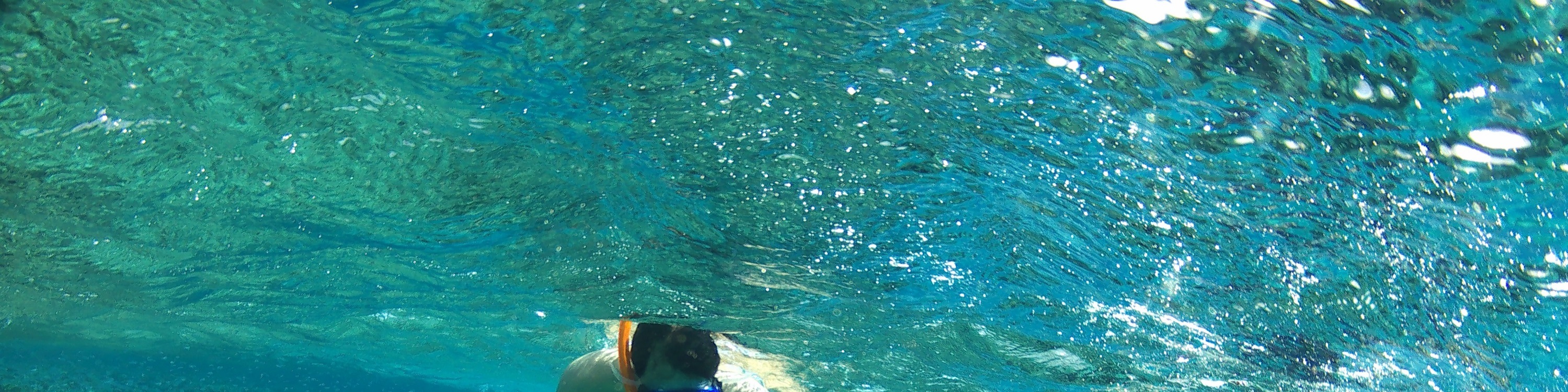 奧蘭治灣浮潛之旅（Orange Bay Island Snorkeling Trip）含水上運動 - 赫爾格達