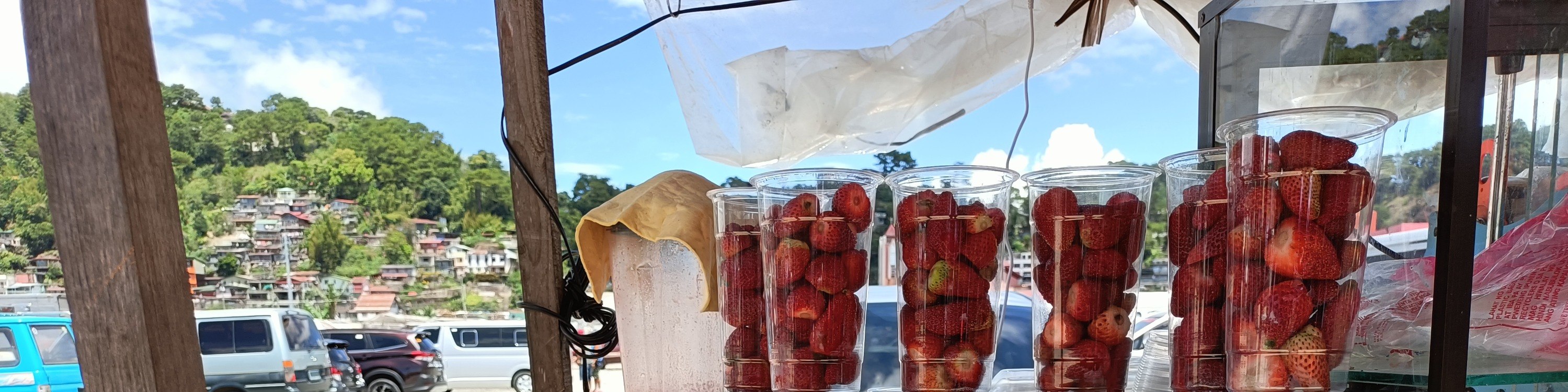 strawberry farm in baguio