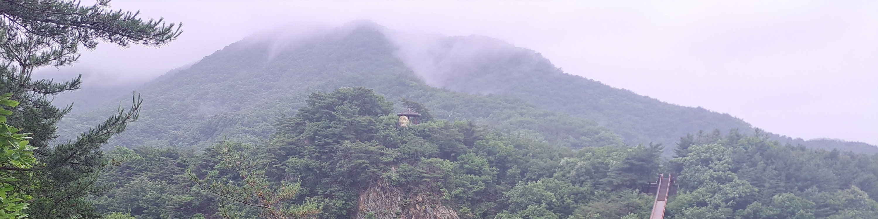 DMZ 非軍事區＆纜車／吊橋之旅（首爾出發）