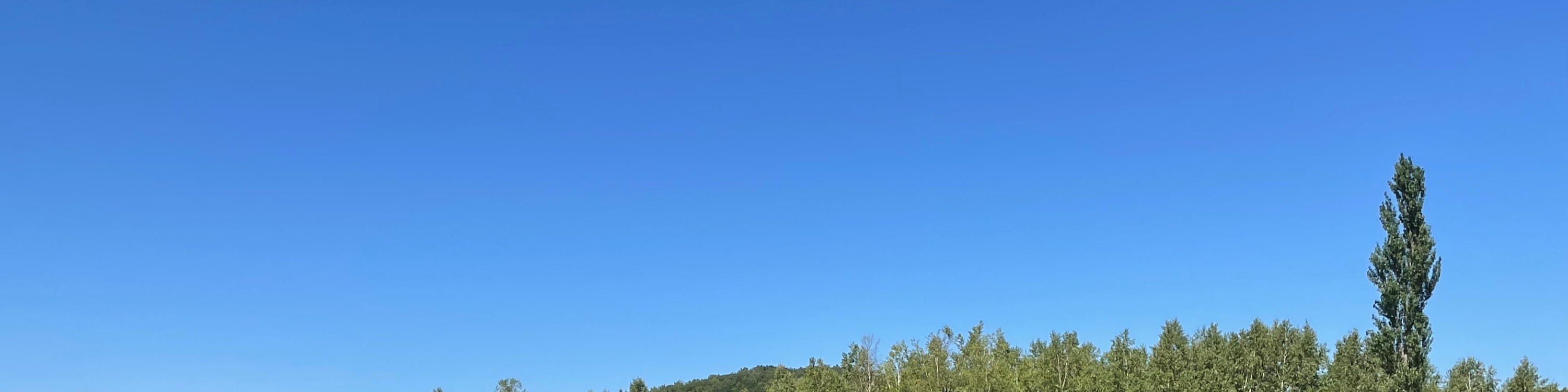 北海道｜秋櫻波波草＆八劍山BBQ＆定山溪／豐平峽紅葉一日遊