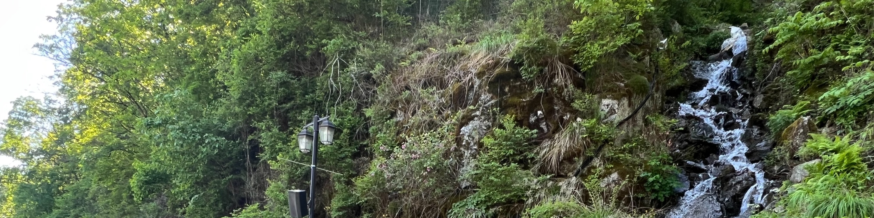 羊駝世界 & 南怡島 & 江村鐵路自行車 & 小法國村 & 樂高樂園