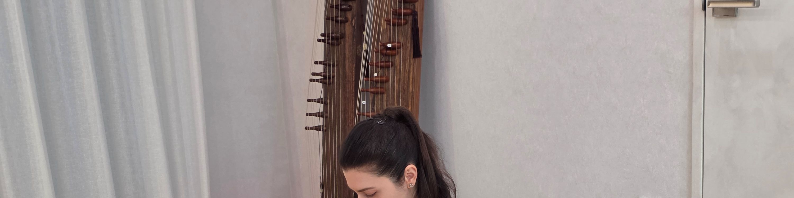 Seoul: Quick Gayageum Lesson with a Professional Musician