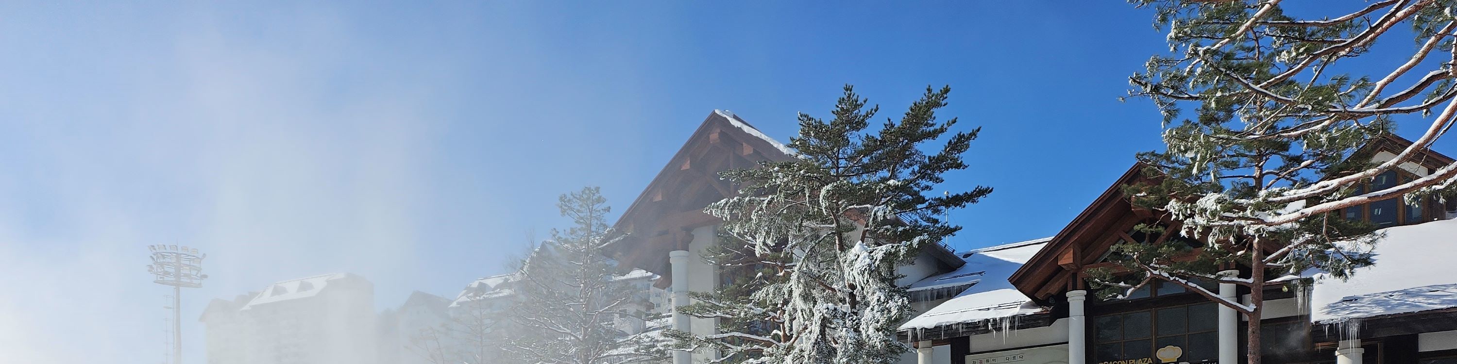 韓國冬季龍平滑雪場一日遊（首爾出發）