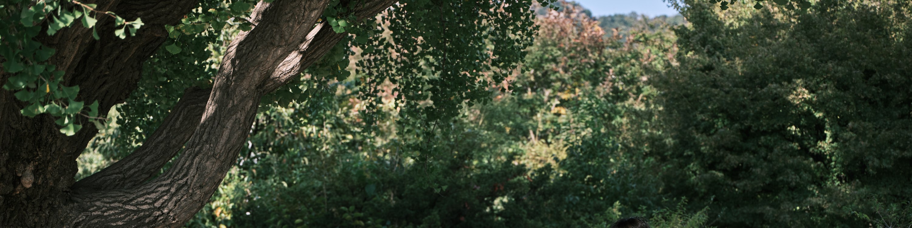 透過我們導遊獨一無二的生動講述，聆聽來自景福宮過往那些有趣又令人驚奇的故事！