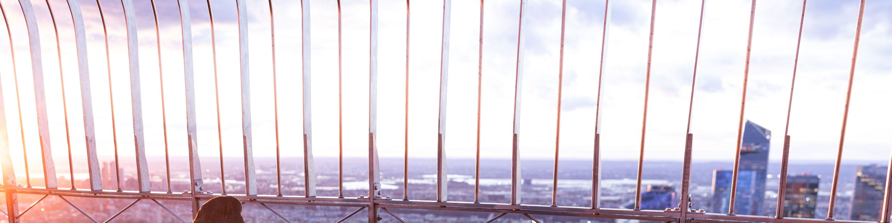 即使在冬季,也能體驗帝國大廈所提供的壯麗景色 即使在冬季,也能體驗帝國大廈所提供的壯麗景色