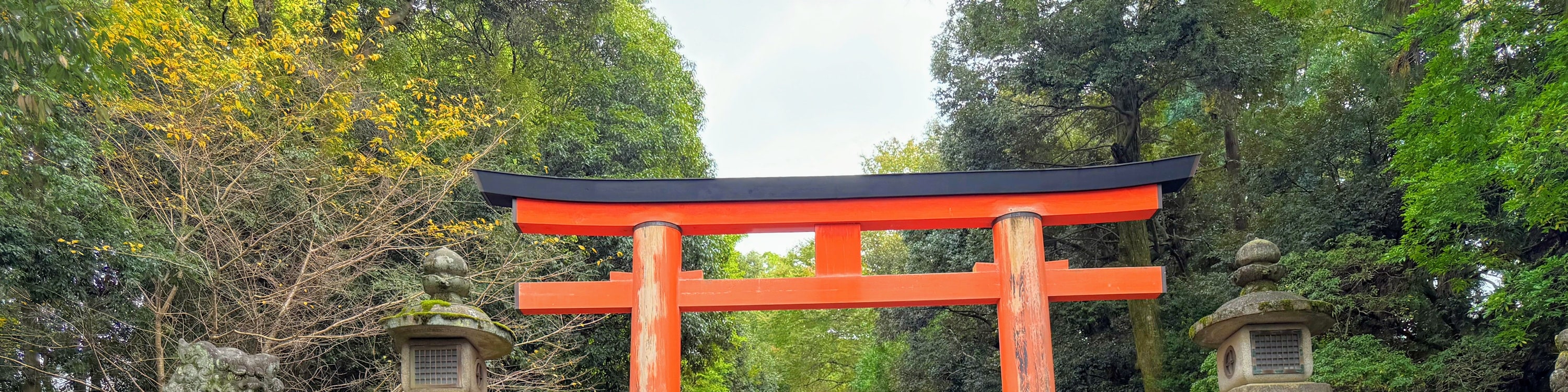 Nara & Kyoto 1-Day Bus Tour