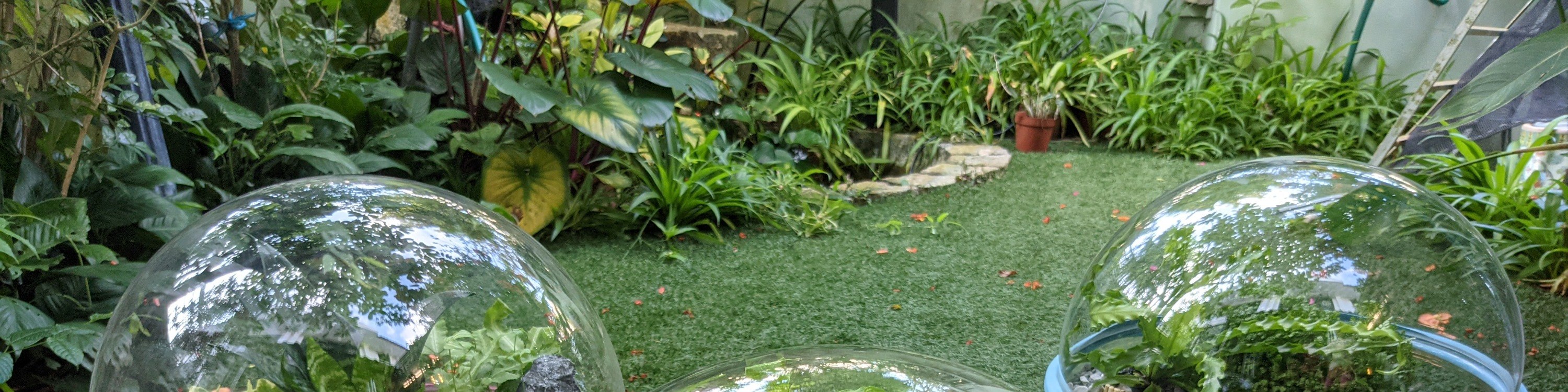 The Sundowner 大型植物缸工作坊