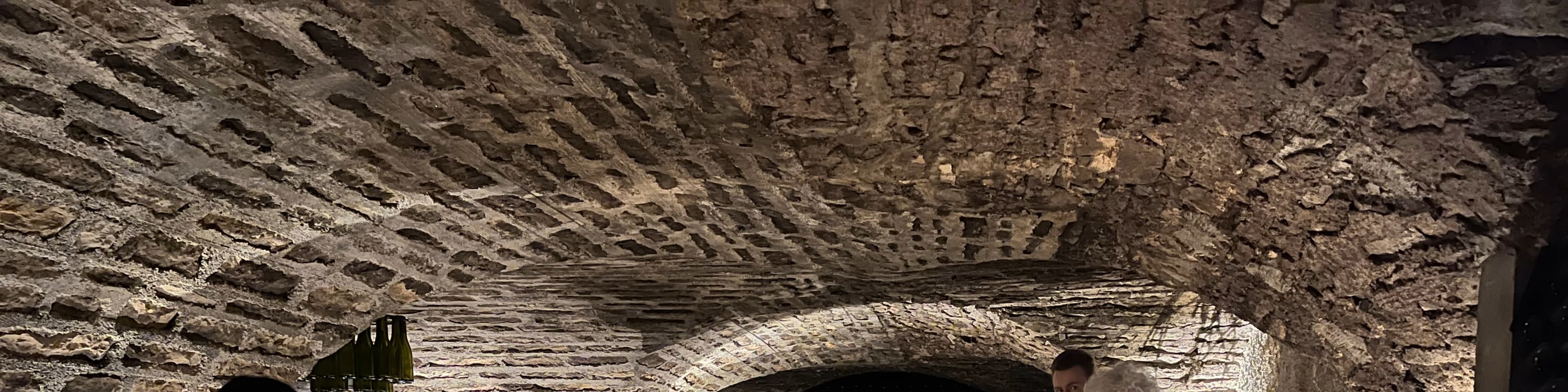 Burgundy Grands Crus Route Day tour & tasting including 14 wines