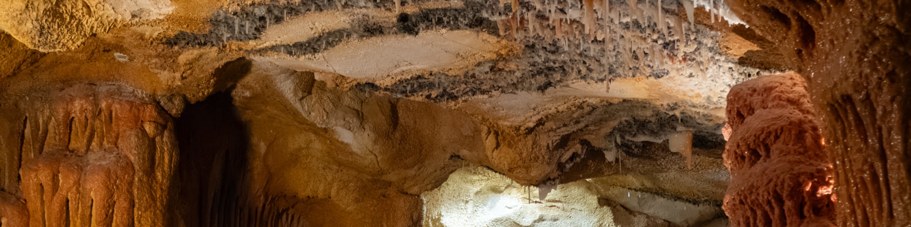 Cosquer Cave Ticket in Marseille