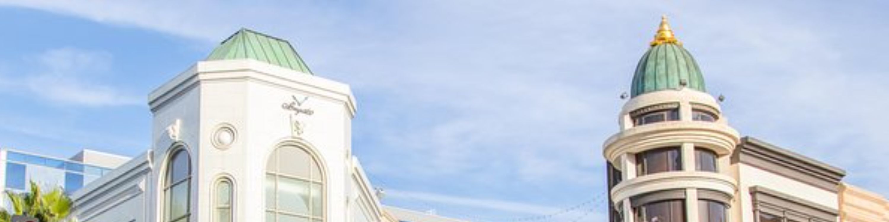 LA City and Beaches Iconic Day Tour with Optional Transfers