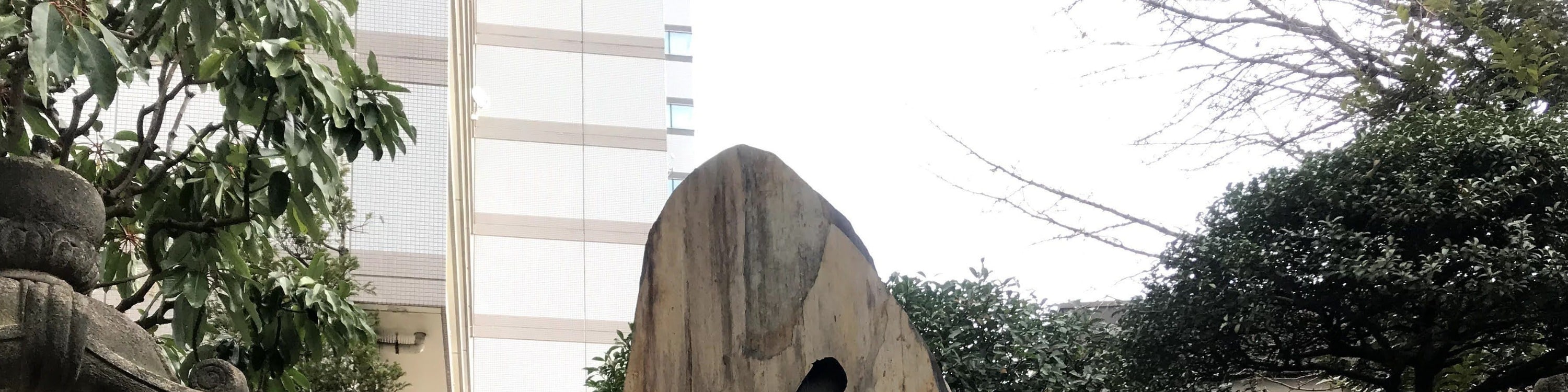 東京大相撲錦標賽之旅