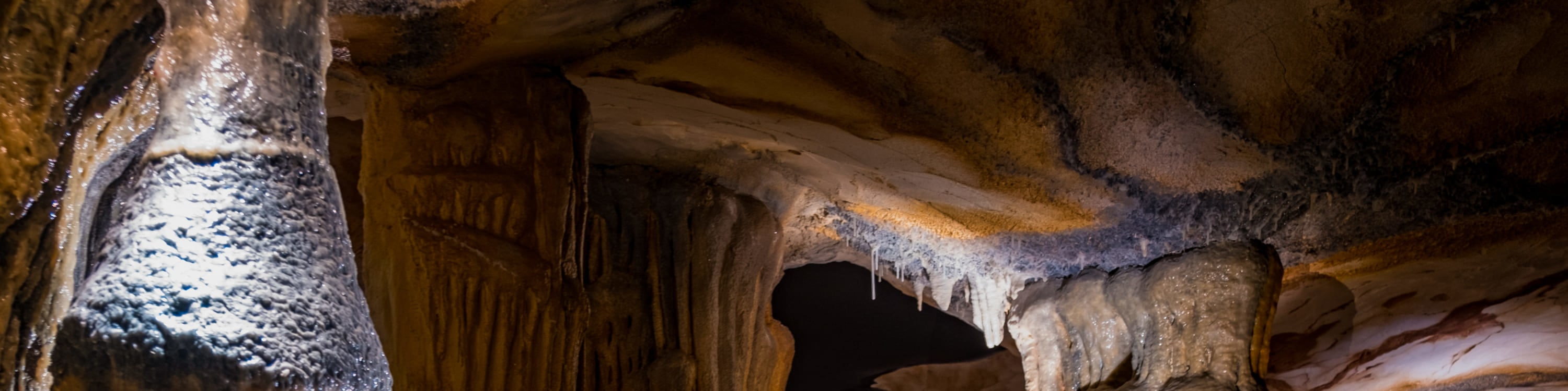 Cosquer Cave Ticket in Marseille