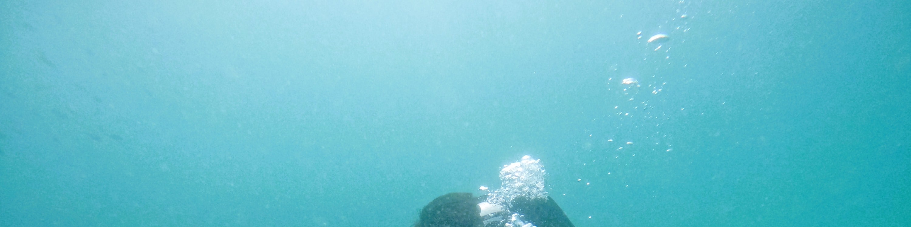 From Dubai: Scuba Dive & Snorkeling with BBQ lunch