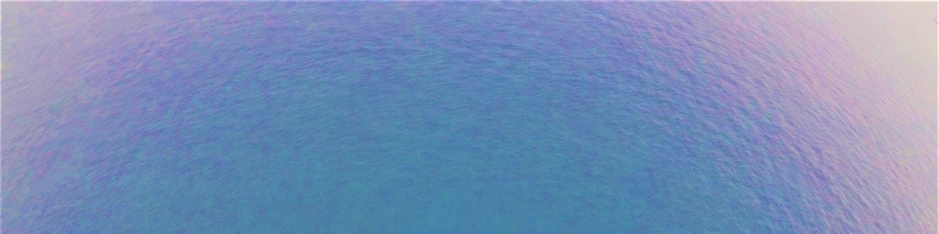 沖繩海上拖曳傘體驗（那霸／北部本部町出發）