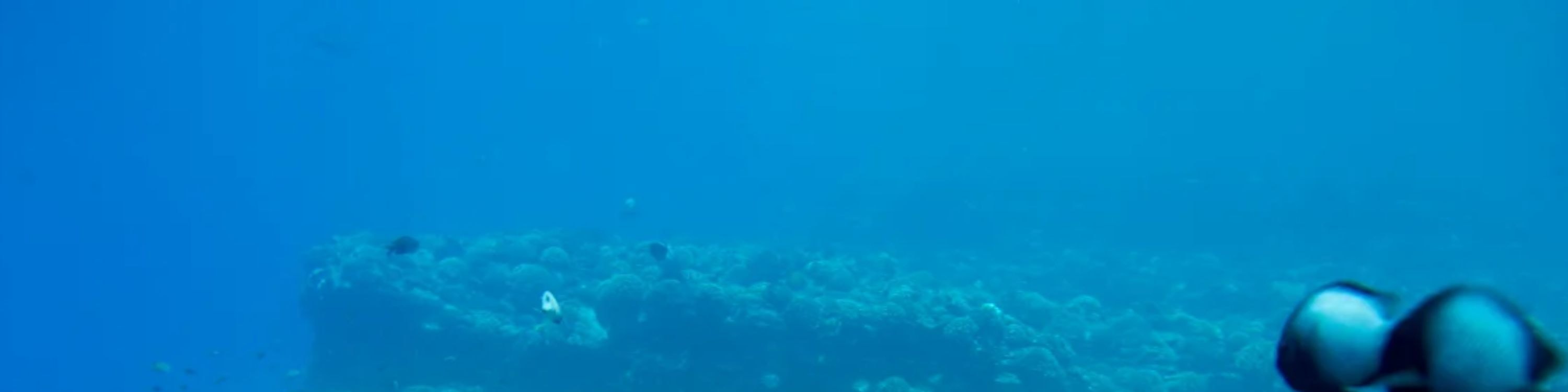 考艾島尼豪島與納帕利海岸船遊