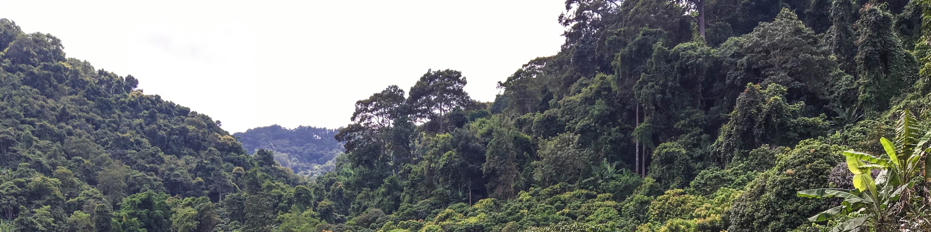 素貼山徒步 & 自行車騎行體驗