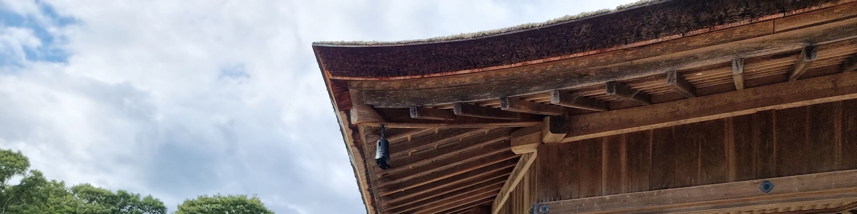 Nara World Heritage PRIVATE TOUR（Autumn leaf season）
