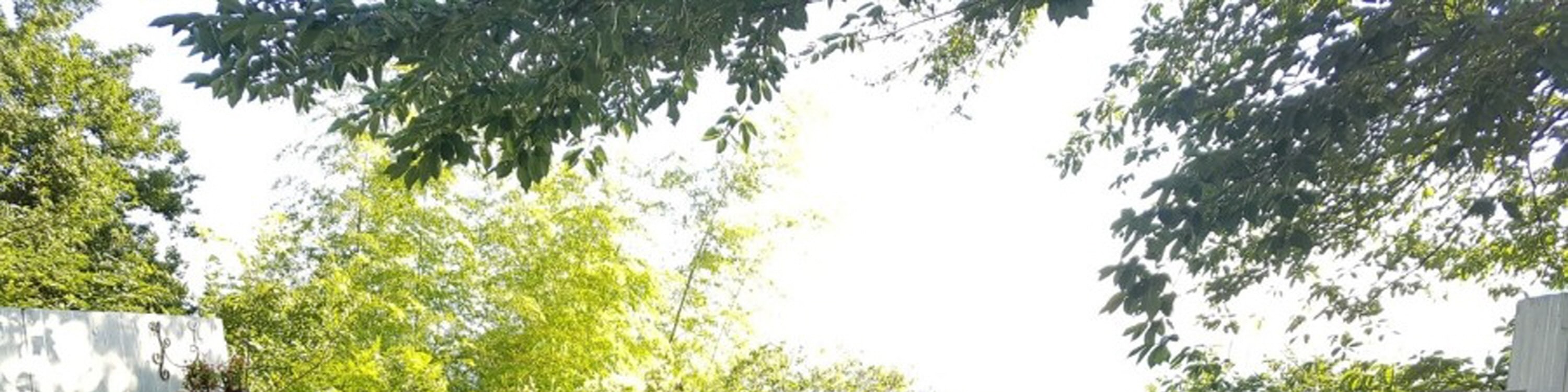 釜山海鮮之旅（含晚餐）