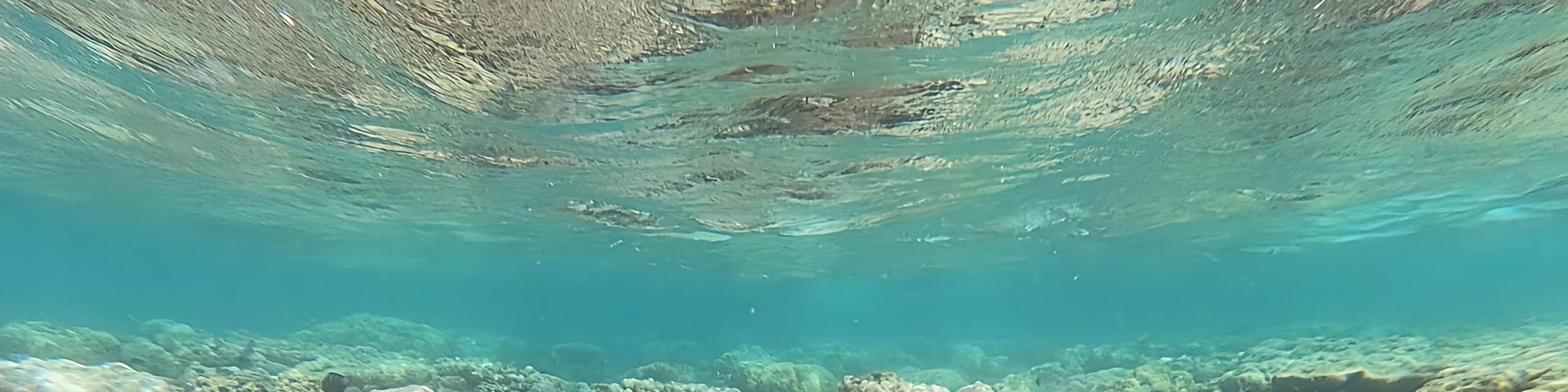 Mystic Siquijor Adventure: Falls, Cliffs & Underwater Thrills in a F