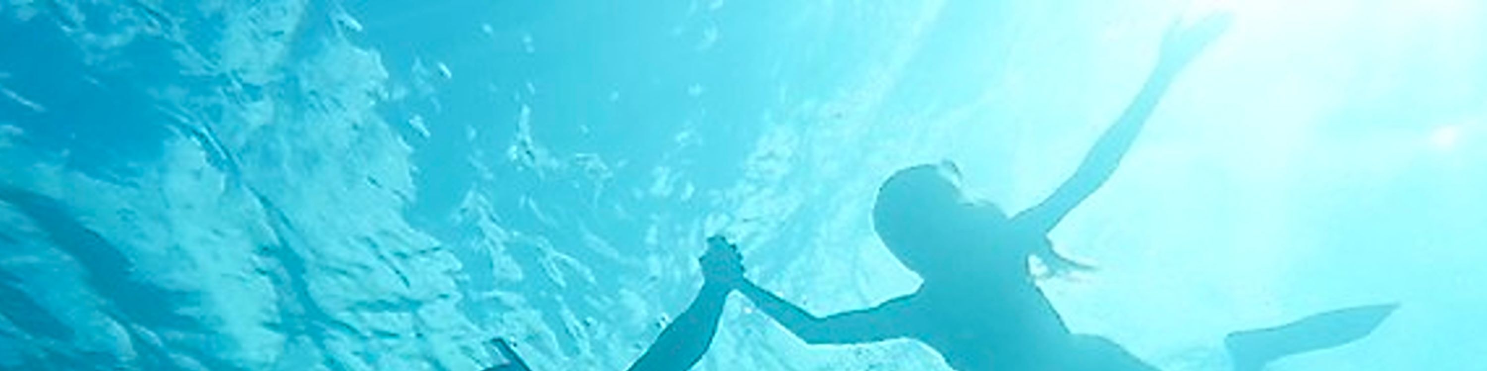 在海龜峽谷 (Turtle Canyon)，浮潛者與夏威夷綠海龜近距離同游