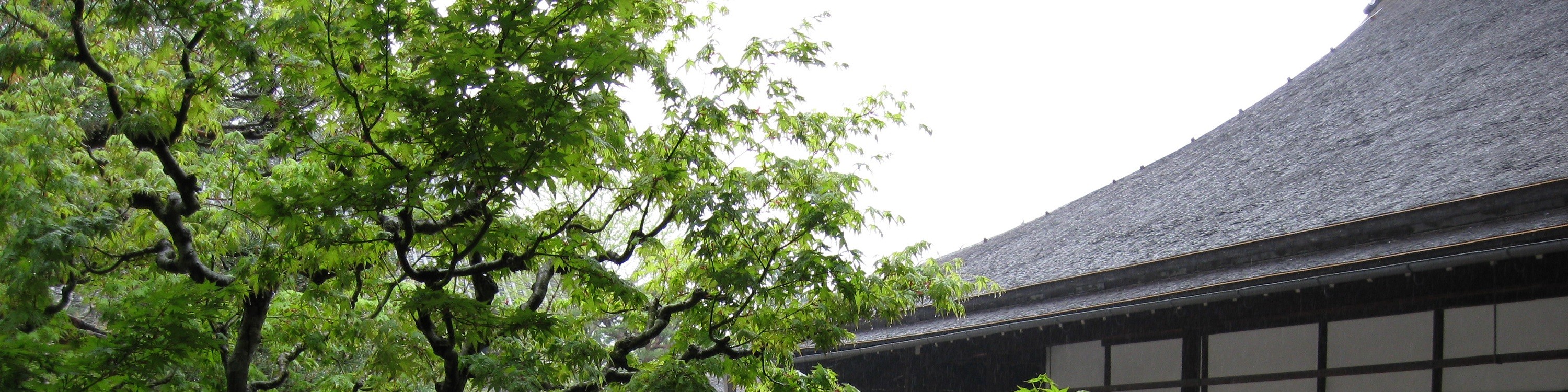 京都自行車探索體驗