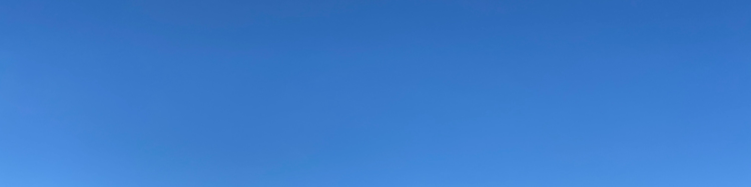 南投日月潭一日遊（含船票）