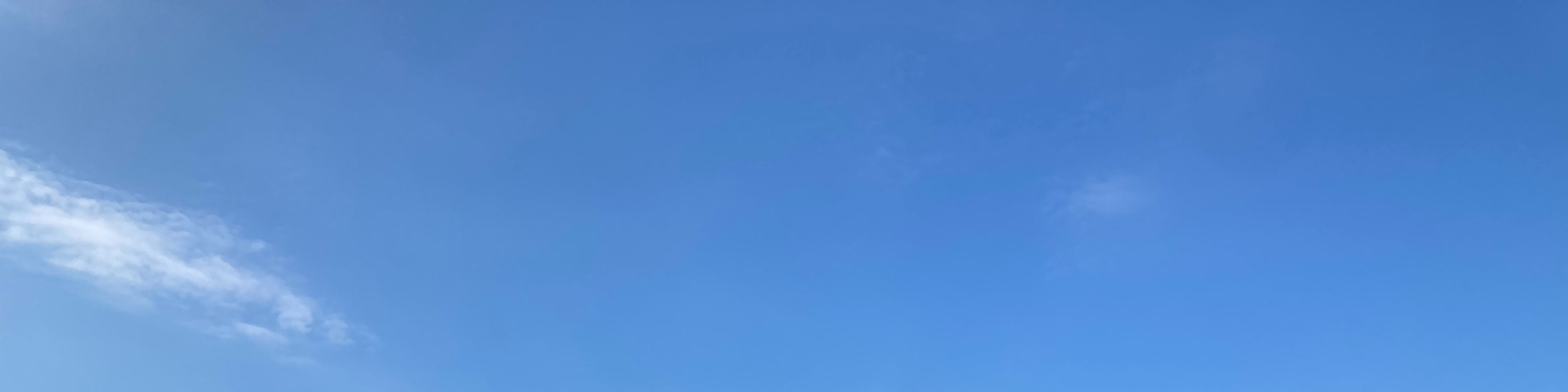 廣島早晨徒步之旅 & 露天茶道