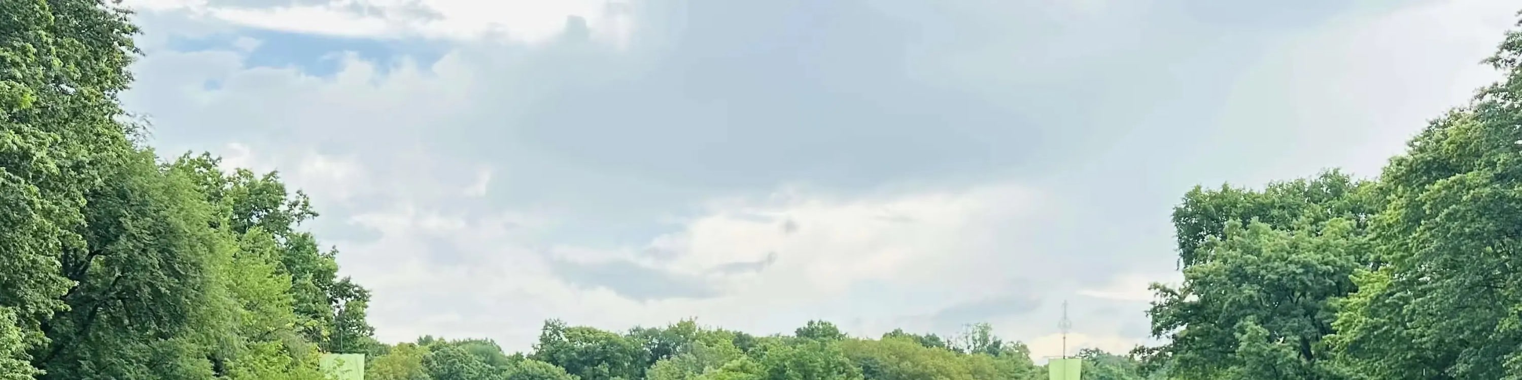 看見它。感受它。愛上它。