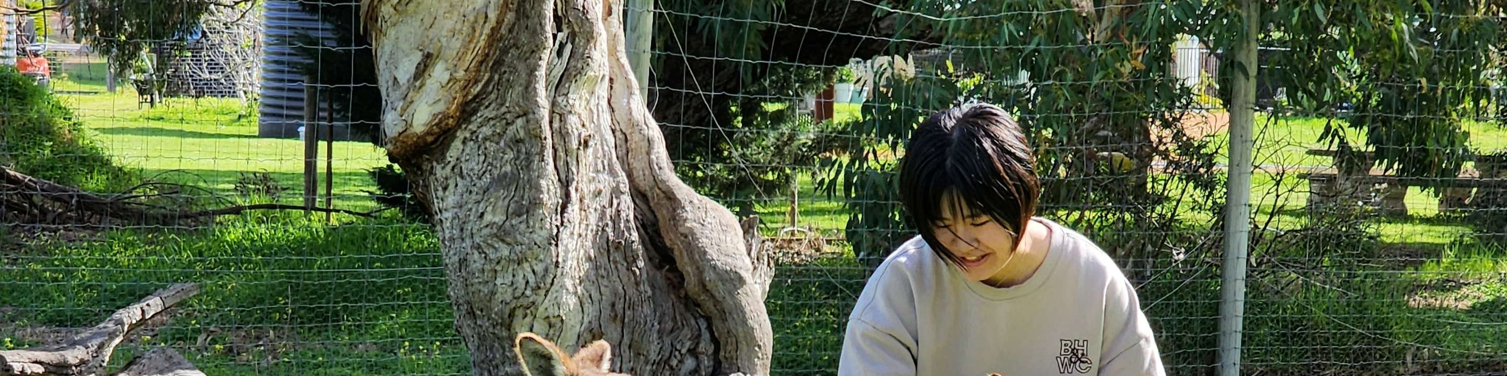 Cleland Wildlife Park & Historic Hahndorf Adelaide Hills Experience
