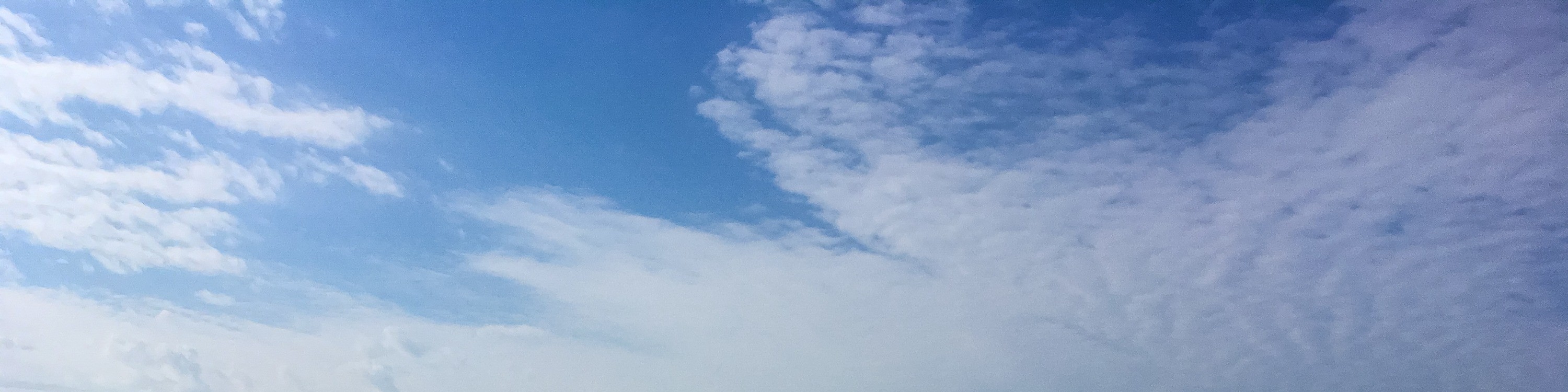 沙板 & 沙地衝浪冒險 + 四驅車接送